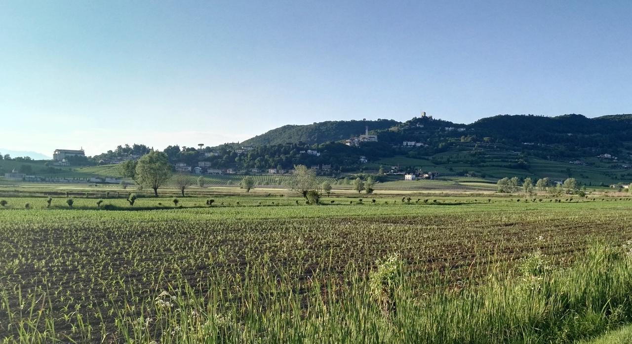 La Pergola Alloggio Brendola 外观 照片